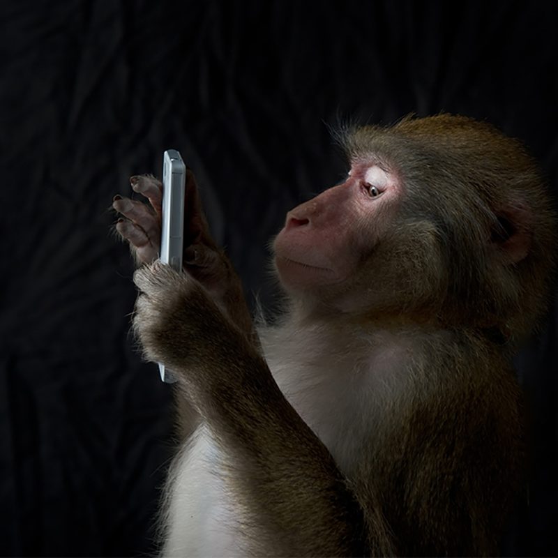 Mötesbokning via telefon