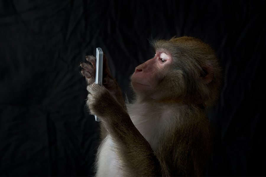 Mötesbokning via telefon