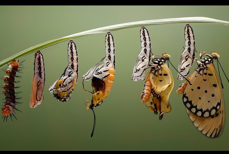 Marknadsföring är viktigt